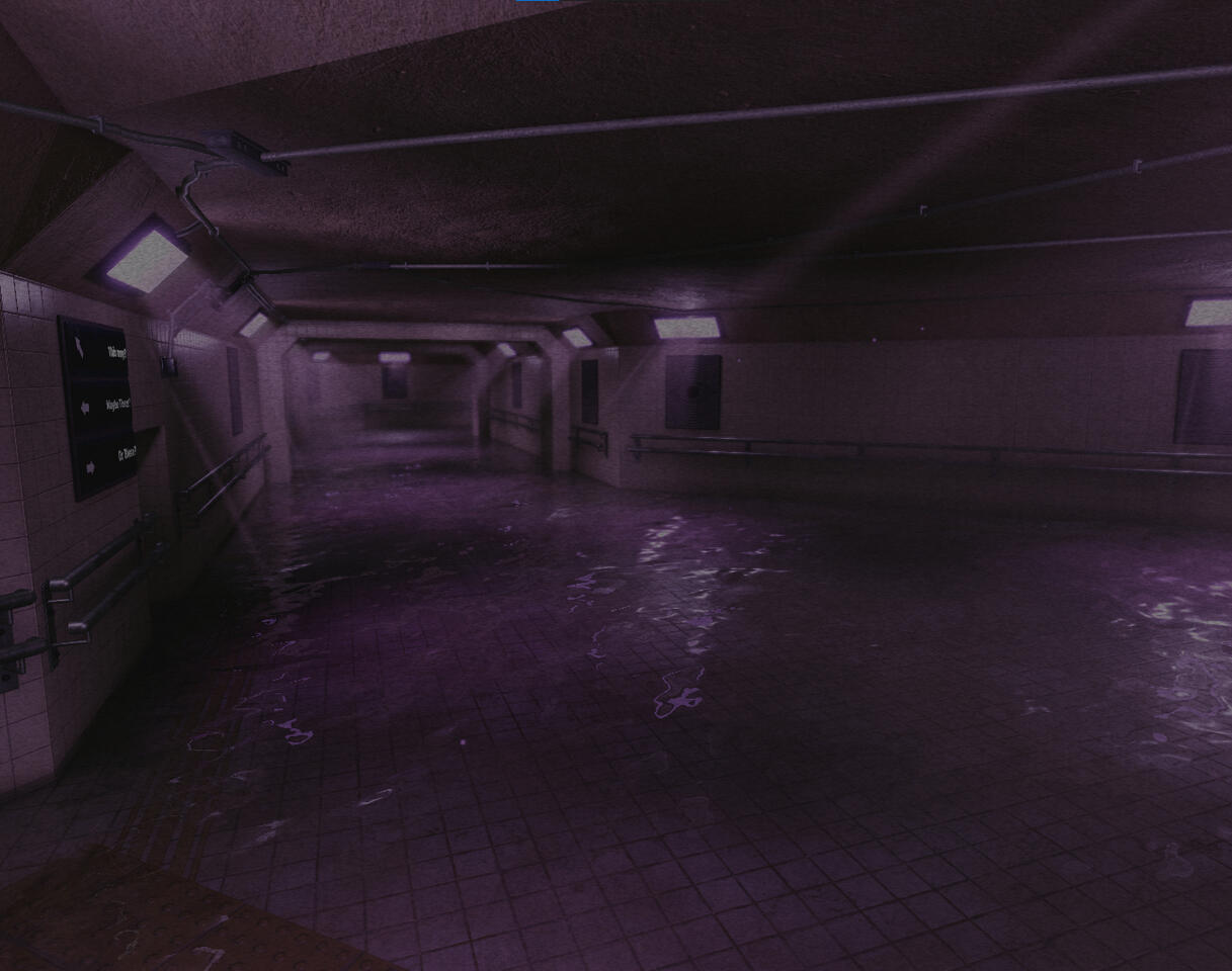 Liminal Space Flooded Sewer